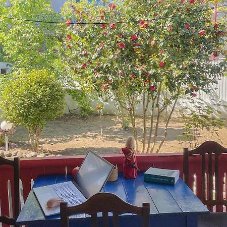 Cottage Коттеджи С Балконом Kobuleti Ngoại thất bức ảnh